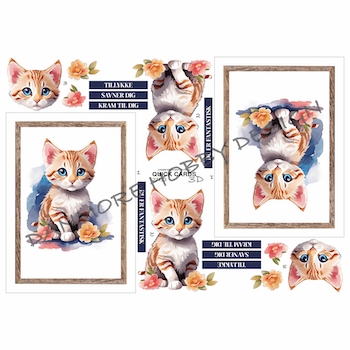 3D Quick Cards Kat